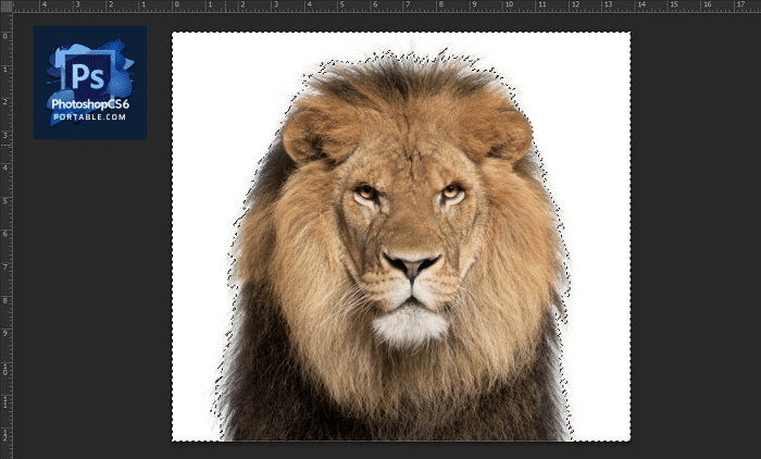 Chọn vùng nền bằng Magic Wand Tool